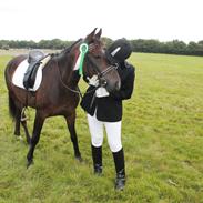 Anden særlig race Cheval