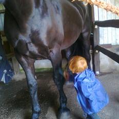 Anden særlig race Lillebror