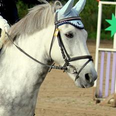 Anden særlig race Silver Moon - *Delle* <3