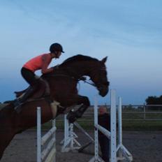 Anden særlig race Jari