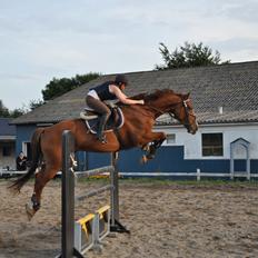 Westfaler Hovgaards Red Moon