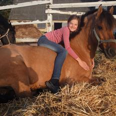 Anden særlig race Åbygårds Tornado