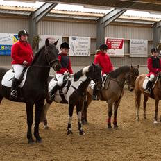 Anden særlig race La Fayette (Mit Et & ALT!!!) SOLGT