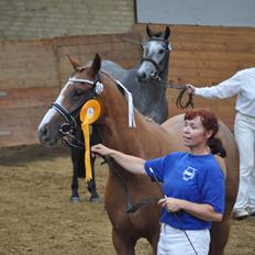 DSP birkelunds charina