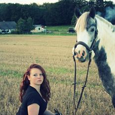 Pinto Vindbjergs starlight