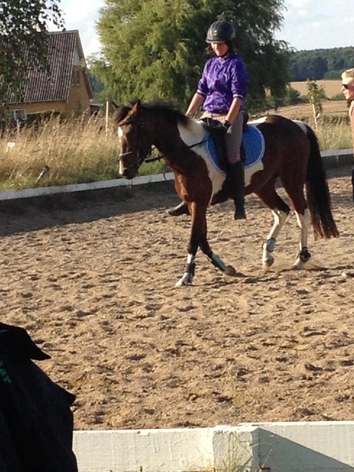 Anden særlig race Amaysing<3 billede 7