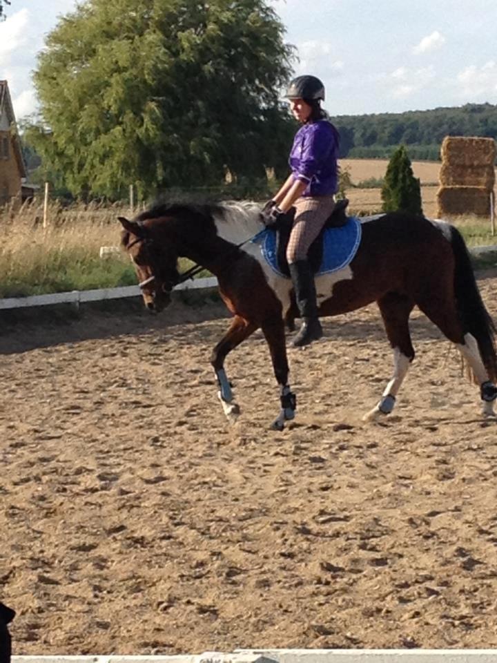 Anden særlig race Amaysing<3 billede 8