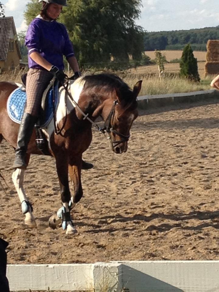 Anden særlig race Amaysing<3 billede 9