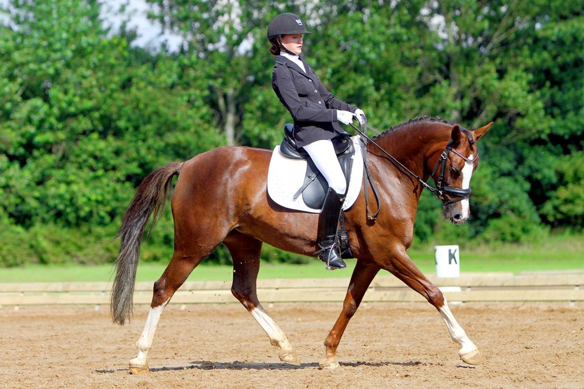 DSP Donnivi billede 4