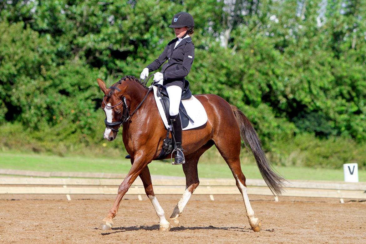 DSP Donnivi billede 3