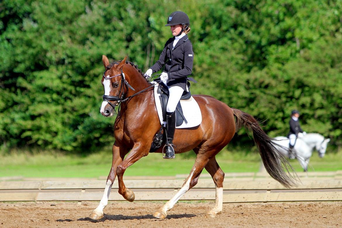 DSP Donnivi billede 1