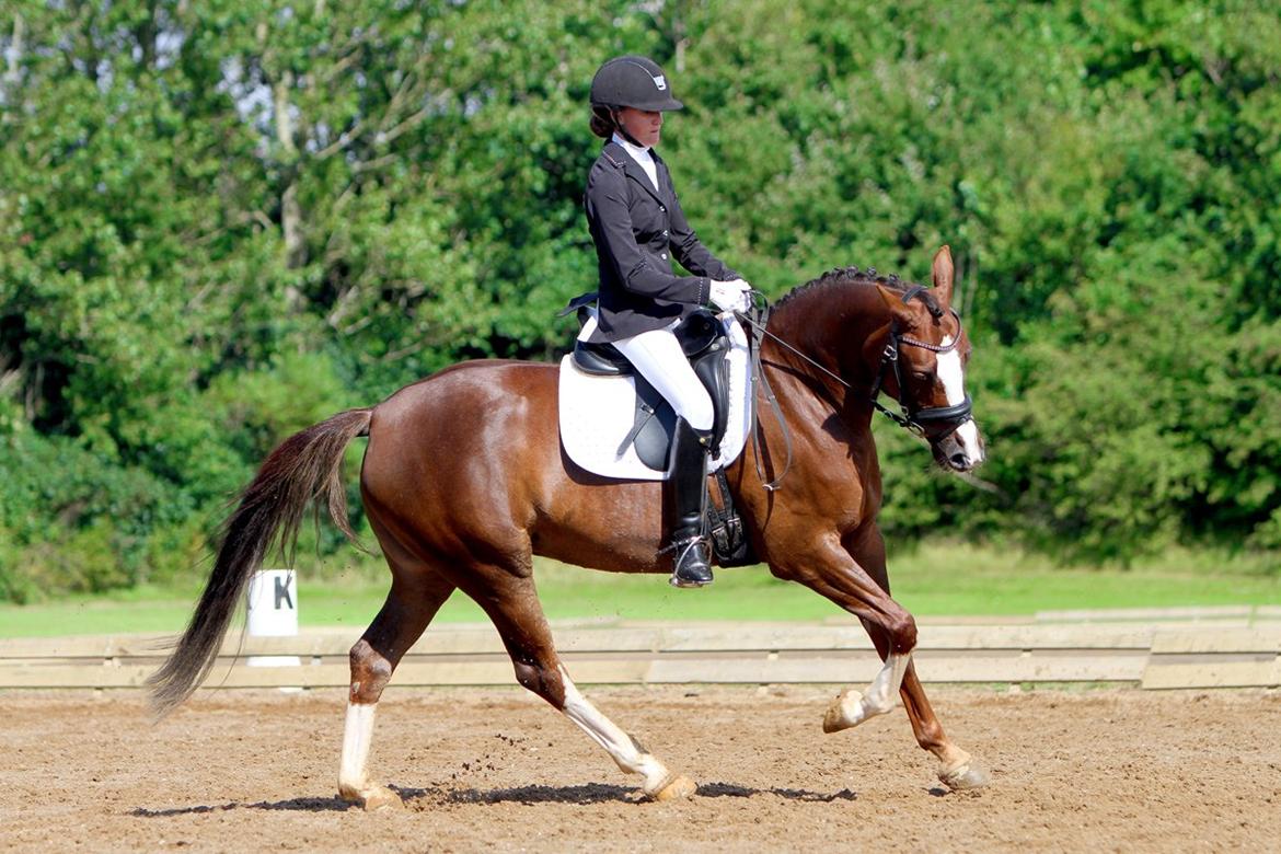 DSP Donnivi billede 5