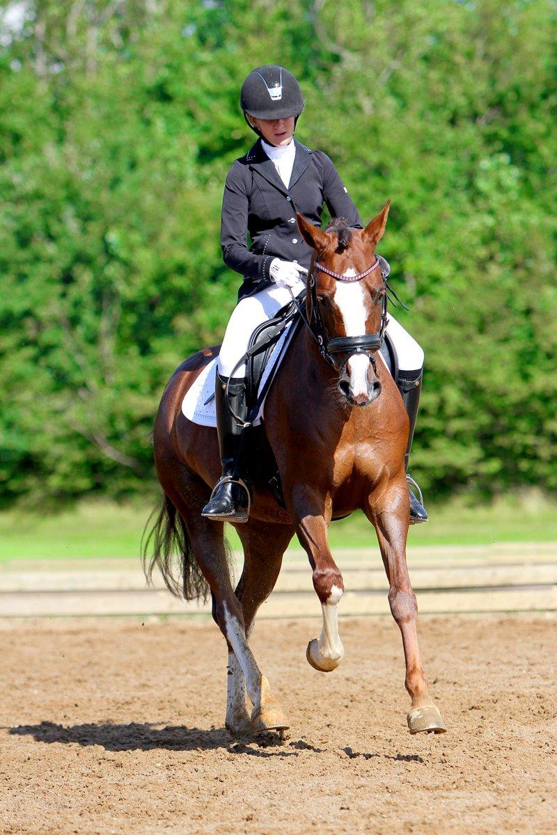 DSP Donnivi billede 2