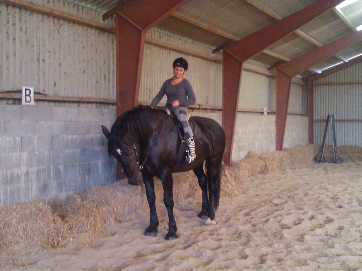 Anden særlig race Lillebror billede 4