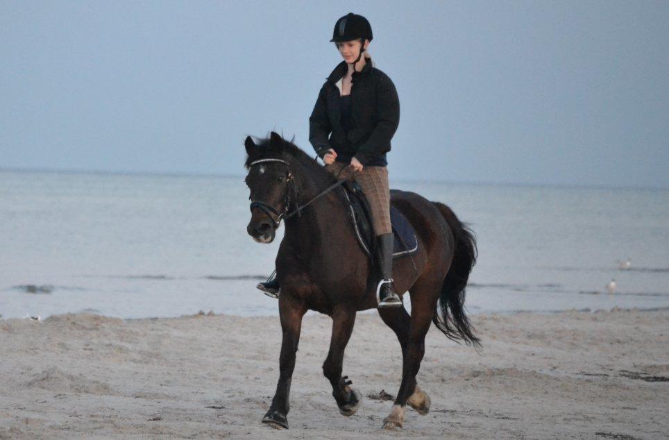 New Forest Dusty<3  ( HoppeBolden) - en meget frisk hest på stranden :-) billede 7