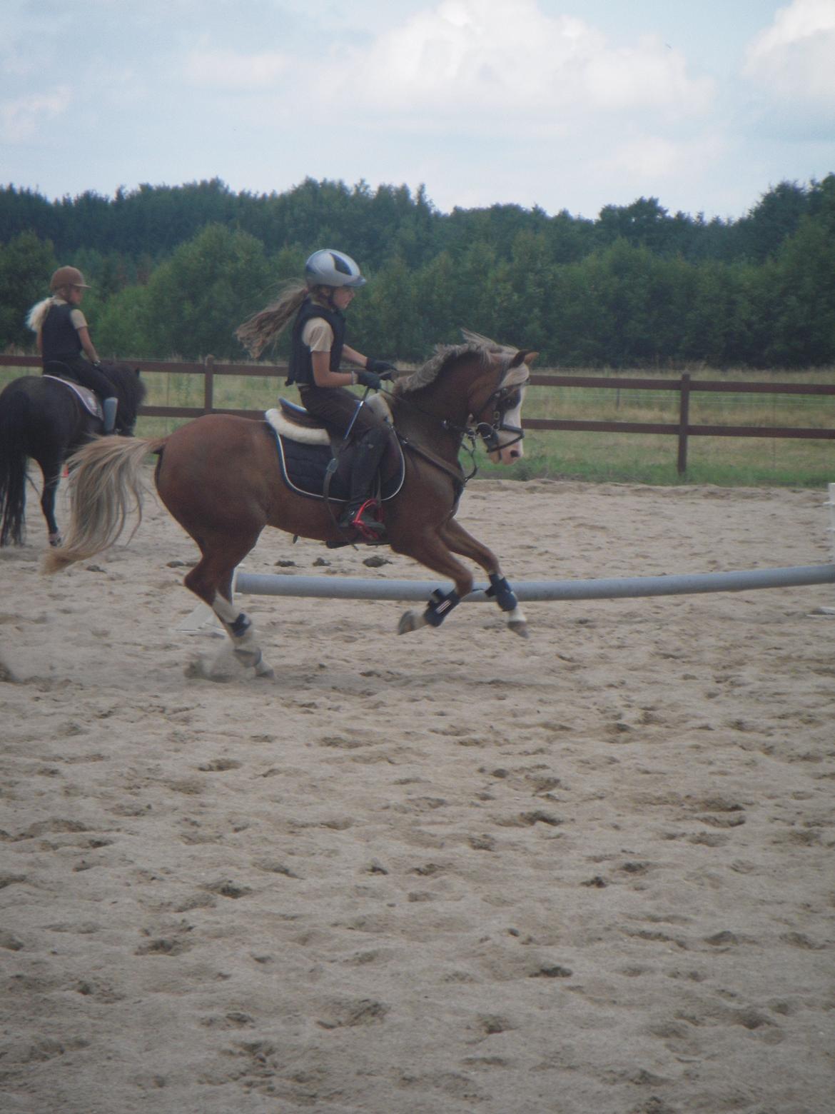 Welsh Pony (sec B) Bloklands Hoeve's Hilde<3....(Hilde)<3<3 billede 16