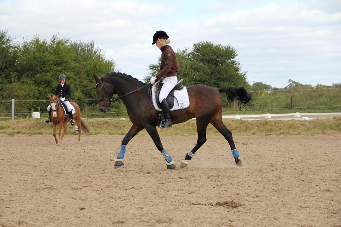 Tysk Sportspony Caruso - La2 BLR. Andet stævne sammen, 3. plads. 
Fotograf: Signe Lin Karlsen :) billede 16