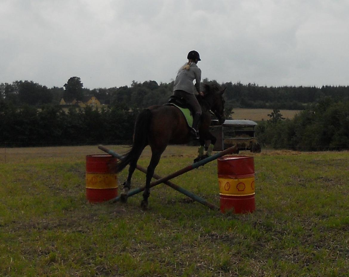 Dansk Varmblod Herslev Mark's Selina ~ Solgt & Savnet ~ - 3) Jeg har lært at 1 døgn er 24 timer, 1 time er 60 minutter, 1 minut er 60 sekunder... Men ingen fortalte mig at hvert minut uden dig er en evighed!!! Selina, du er alt!♥♥ Foto: Ann billede 3