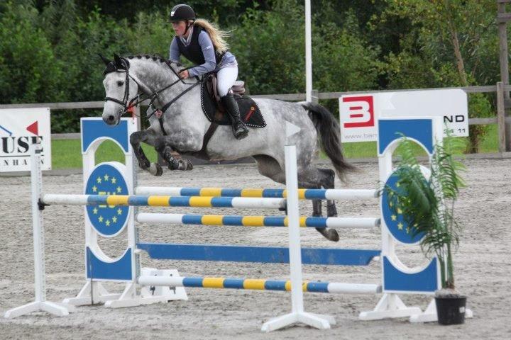 Holstener TIME 4 U - CSIJ-A baltic cup 3. afd CSC august 2012. Her i small tour fredag, 120 cm.  billede 10