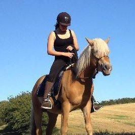 Tyroler Haflinger Walando - Nogle af de første skridtturer, sommeren 2013. billede 3