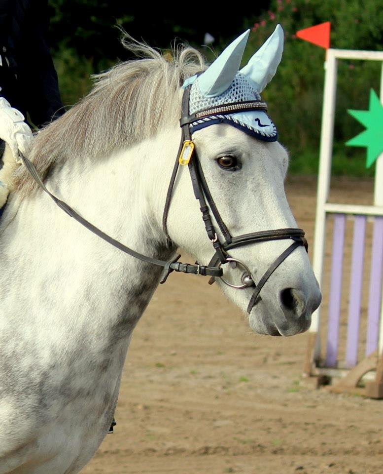 Anden særlig race Silver Moon - *Delle* <3 billede 3