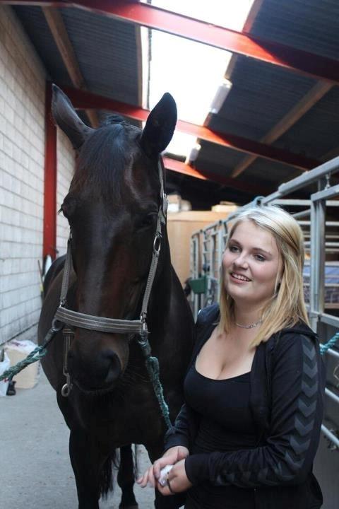 Dansk Varmblod Visa Bella billede 9