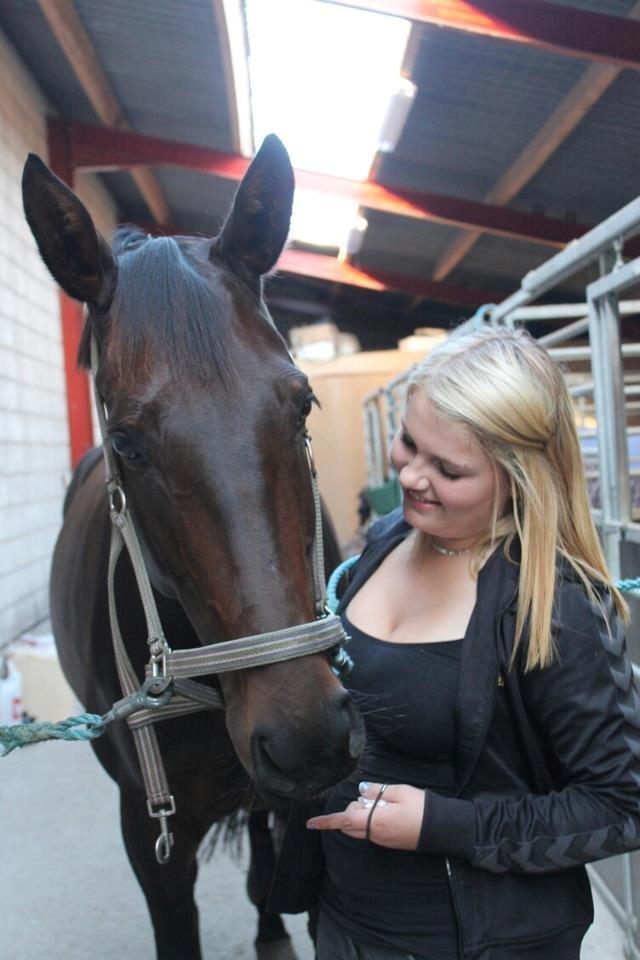 Dansk Varmblod Visa Bella billede 4