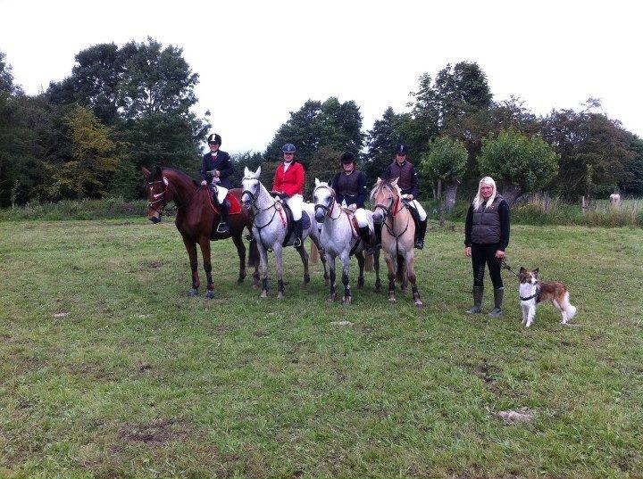 DSP Nordenhøjs Freja SOLGT billede 17