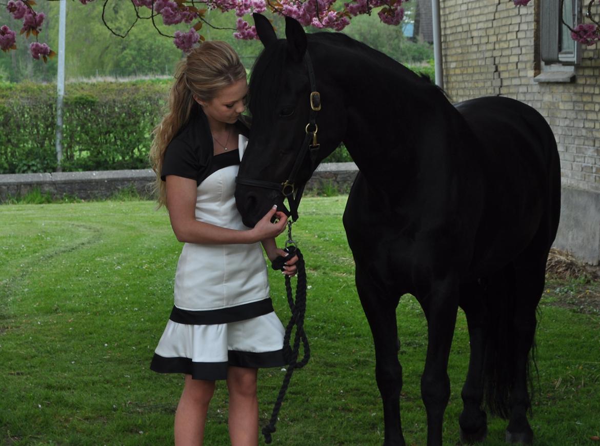 Anden særlig race Thorndals Alpha. billede 19