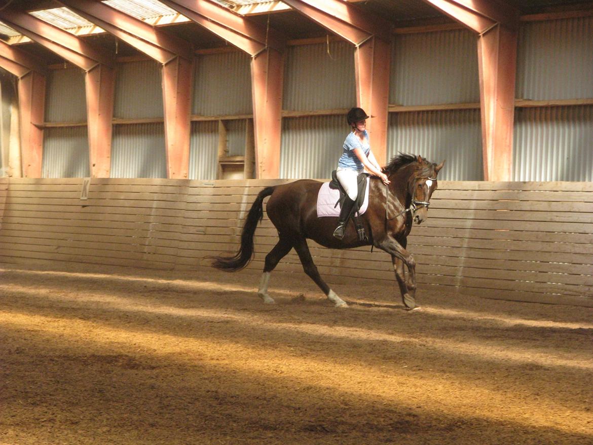 Oldenborg Etasja af Hvarre billede 13