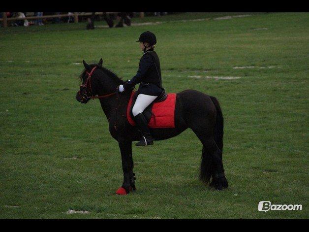 Fell pony Bakkely's Bella *Prinsessen* SOLGT:'( - Lige en lille pause inde i ringen til Store Hestedag 2012 :o) billede 19