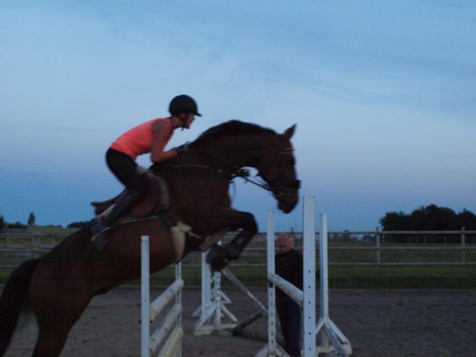 Anden særlig race Jari - 130cm uden problmer. billede 1