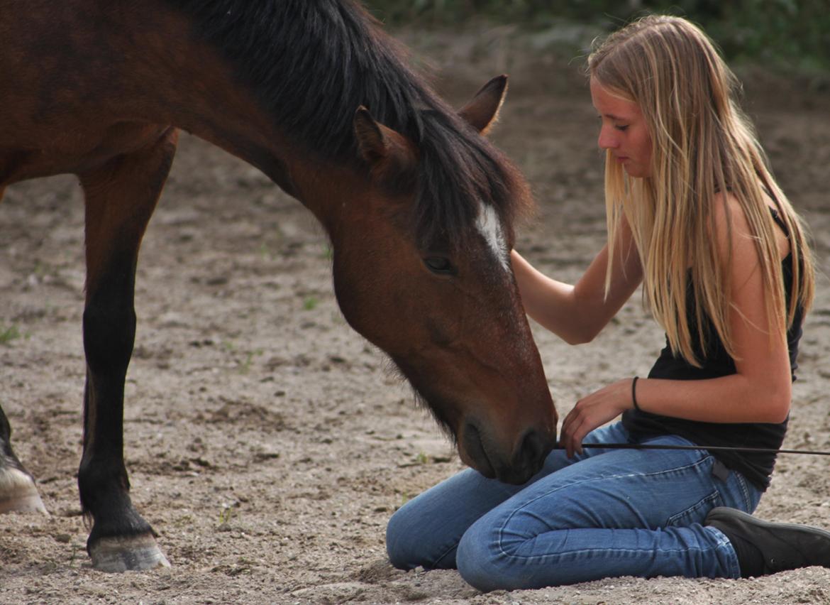 Anden særlig race Tjalfe - Elsker dig dreng.<3<3<3 [Foto STL] billede 18