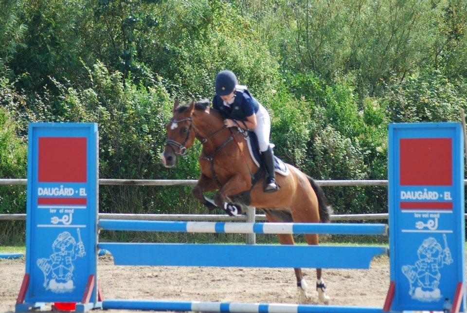 Anden særlig race Rivo 2 billede 2