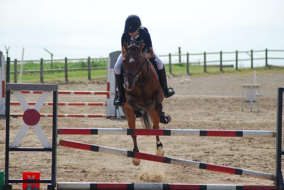 Anden særlig race Rivo 2 billede 3