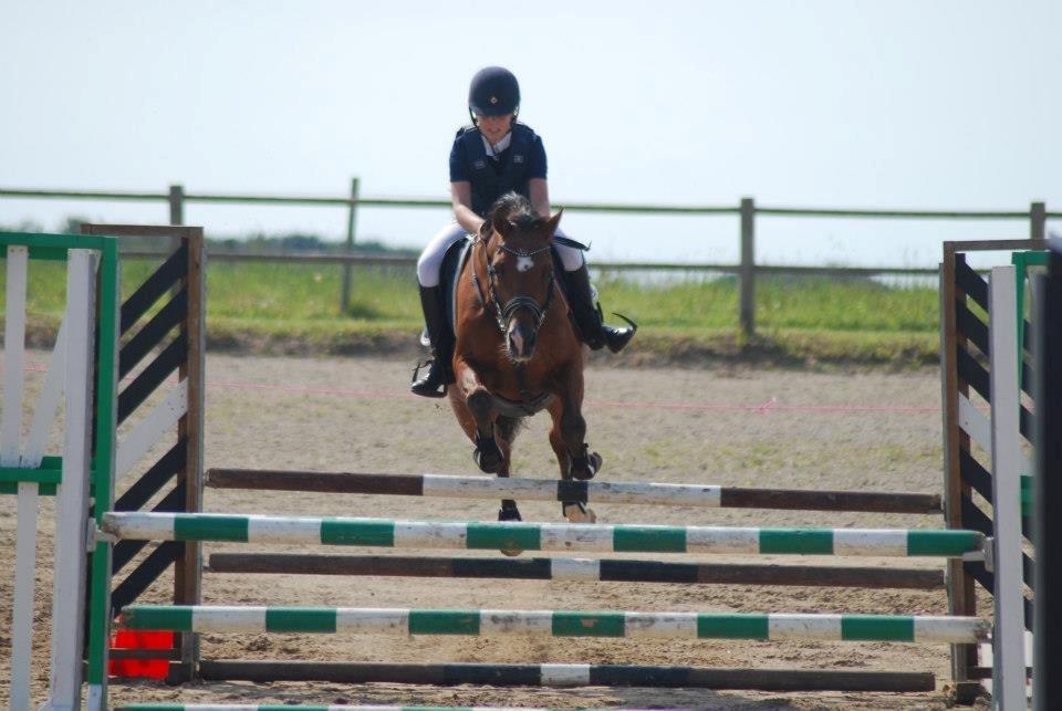 Anden særlig race Rivo 2 billede 4