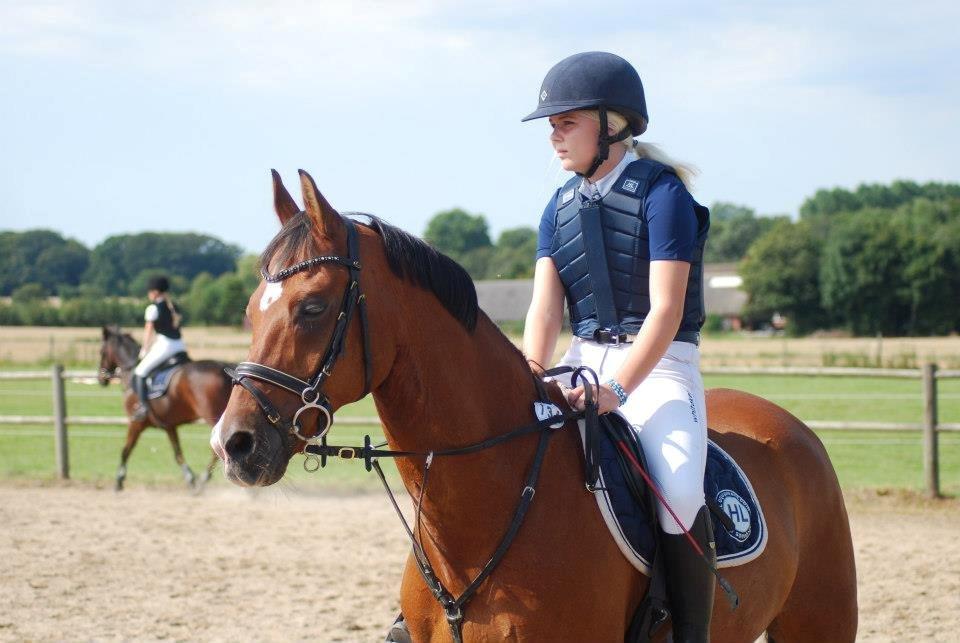 Anden særlig race Rivo 2 billede 7