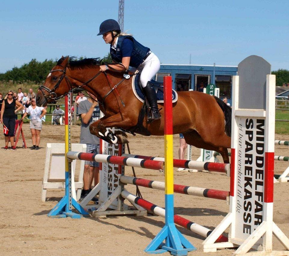 Anden særlig race Rivo 2 billede 8