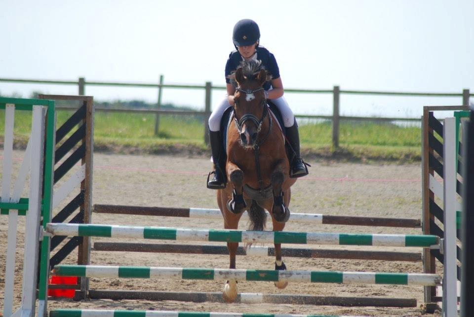 Anden særlig race Rivo 2 billede 11