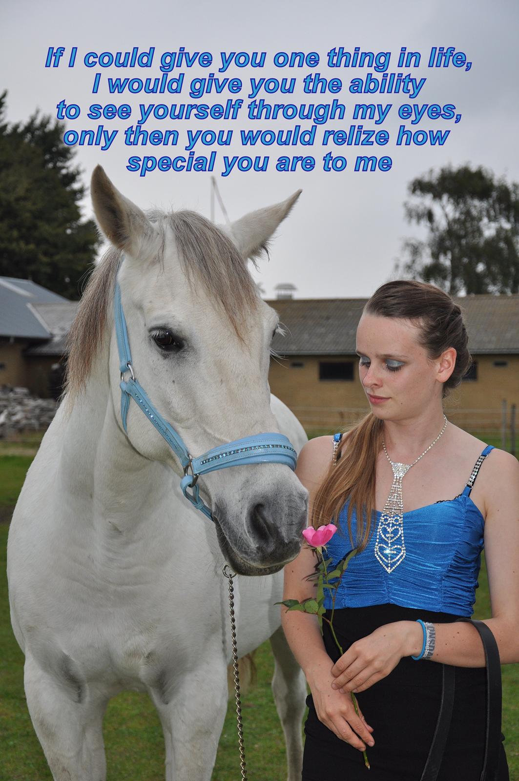 Arabisk fuldblod (OX) Wathana - "It takes a minute to have a crush on someone, an hour to like someone, a day to love someone, but a lifetime to forget someone." billede 7