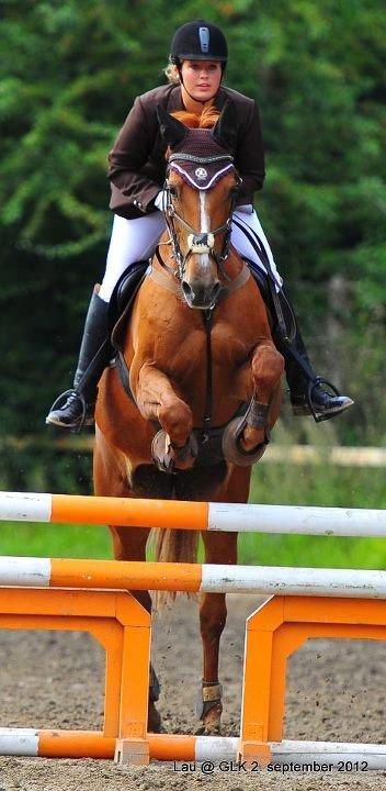 Anden særlig race Magic Lady - LC. billede 15