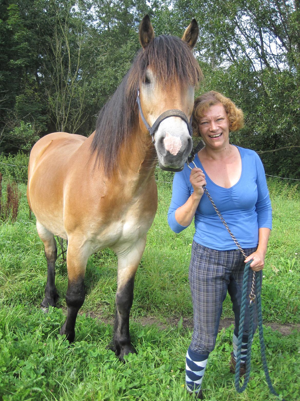 Koldblodstraver Rappstagutten,.(Gutten) - Gutten og jeg billede 7