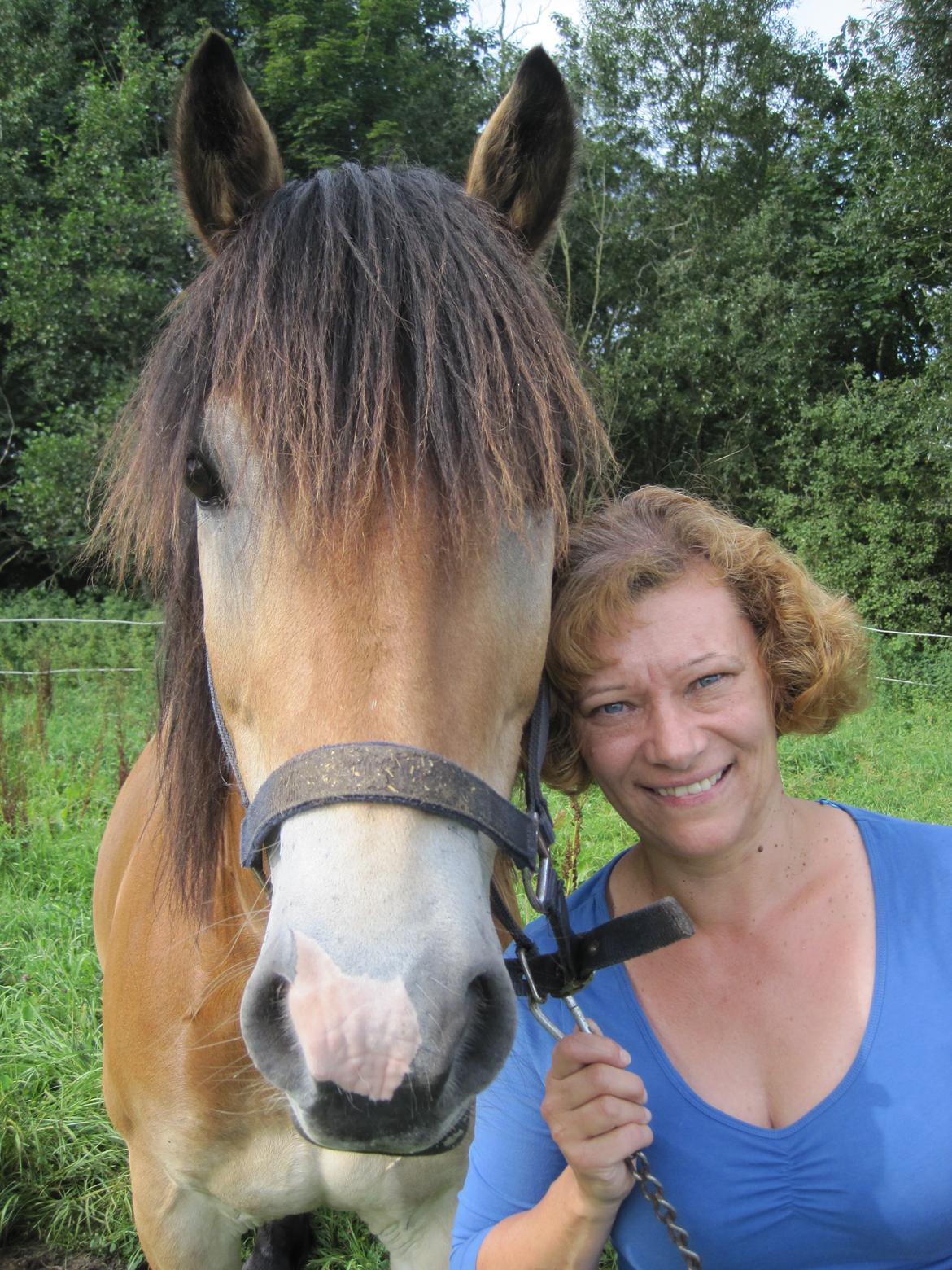 Koldblodstraver Rappstagutten,.(Gutten) billede 8