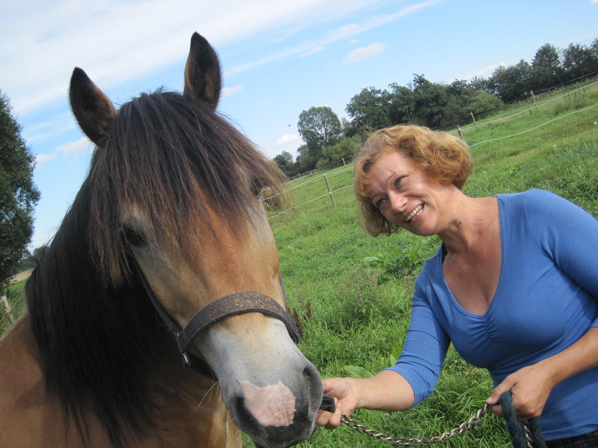 Koldblodstraver Rappstagutten,.(Gutten) billede 9