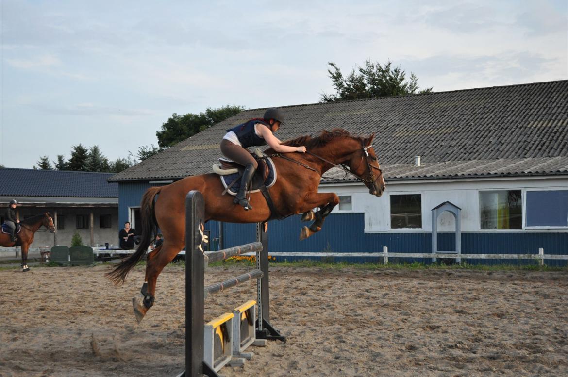 Westfaler Hovgaards Red Moon billede 2