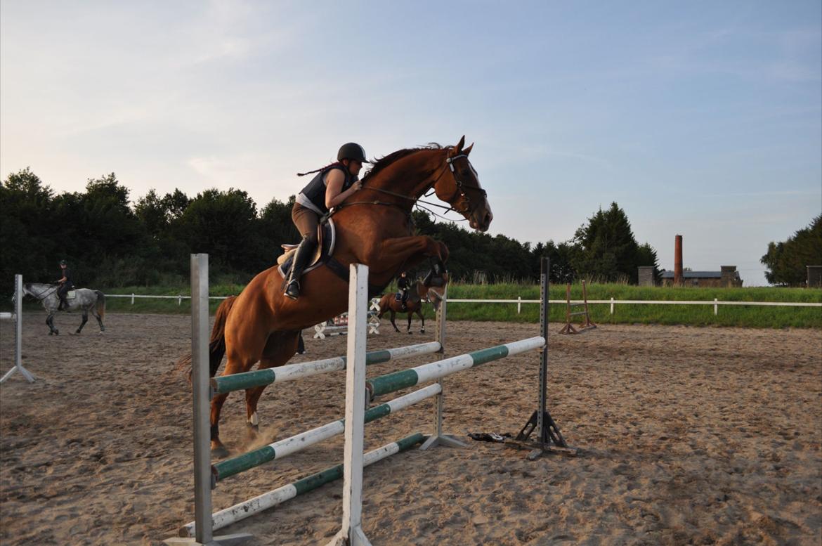 Westfaler Hovgaards Red Moon billede 18