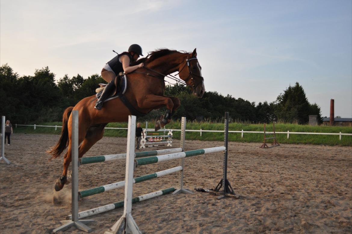 Westfaler Hovgaards Red Moon billede 19