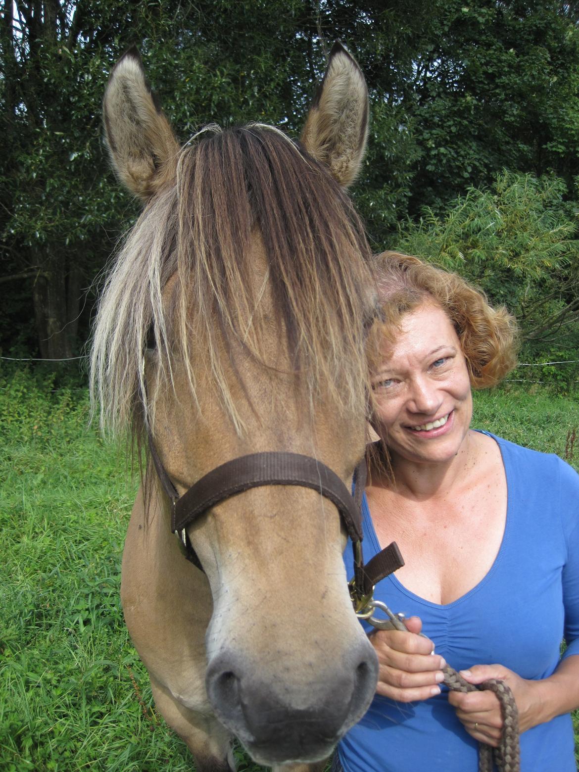 Anden særlig race Apollo , udlånt/solgt på afbetaling - charmebøffen og jeg billede 8