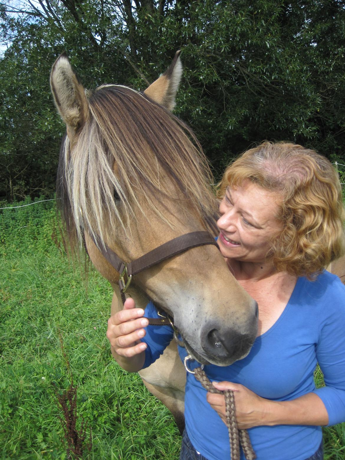 Anden særlig race Apollo , udlånt/solgt på afbetaling billede 1
