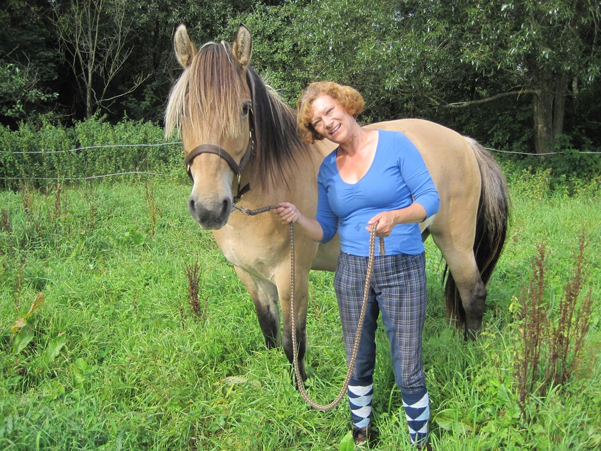 Anden særlig race Apollo , udlånt/solgt på afbetaling billede 9